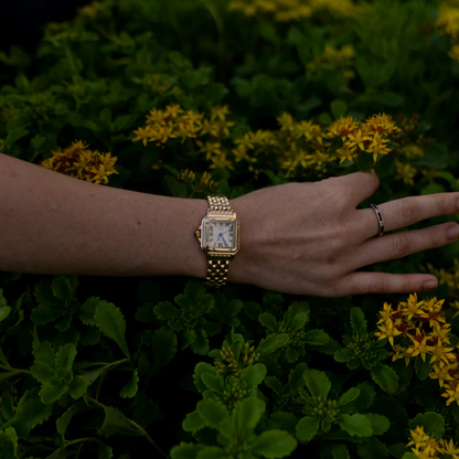 Vasmyst® Serafina